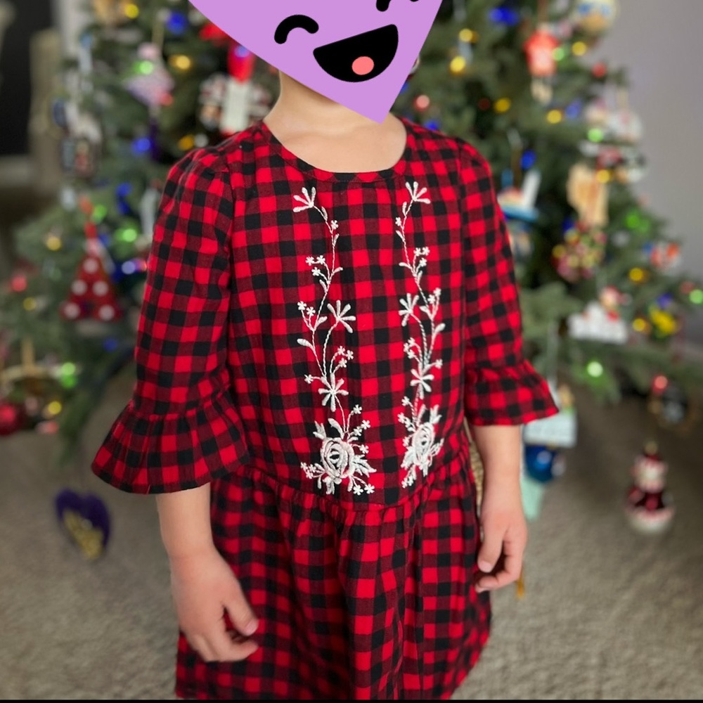 Baby Gap Embroidered Flannel Dress | 3T